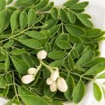 Protein dalam Daun Kelor: Berapa Banyak dan Apa Manfaatnya?