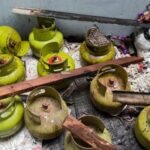 Tragedi Kebakaran di Cilandak: Rumah Ludes Terbakar Akibat Ledakan Tabung Gas 3 Kg