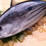 Ikan Tuna: Superfood Laut dengan Kandungan Nutrisi yang Luar Biasa