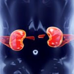 Hati-Hati! 9 Makanan Ini Diam-Diam Merusak Ginjal Anda