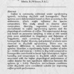 Masa Depan Hutan Kita: Antara Tantangan dan Harapan