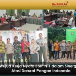 NTT di Tengah Gelombang Perubahan: Antara Potensi, Tantangan, dan Asa