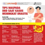 Demam Berdarah Dengue (DBD): Update Terkini, Pencegahan, dan Penanganan yang Efektif