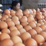 Harga Kebutuhan Pokok Melambung: Apa yang Terjadi dan Bagaimana Mengatasinya?