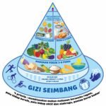 Membangun Fondasi Kesehatan: Panduan Lengkap Pola Makan Sehat untuk Hidup Lebih Berkualitas