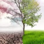 Perubahan Iklim: Alarm Semakin Keras, Aksi Nyata Semakin Mendesak