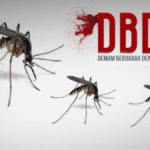 Waspada! Kasus DBD Meningkat: Ancaman Nyata yang Perlu Diwaspadai