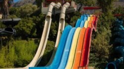 Seluncur Air: Menaklukkan Ombak dengan Adrenalin dan Keterampilan