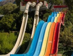 Seluncur Air: Menaklukkan Ombak dengan Adrenalin dan Keterampilan