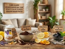 Cara Alami Menghilangkan Bau Tidak Sedap Di Dalam Ruangan Dengan Bahan Dapur